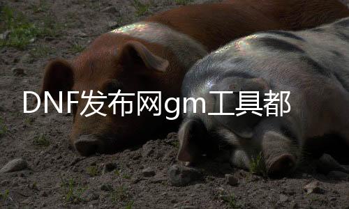 DNF发布网gm东西都通用么（DNF发布网 gm版）