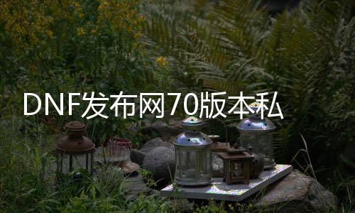 DNF发布网70版本私服二哈的祝福