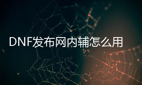 DNF发布网内辅怎么用（dnf私免费帮助下载）