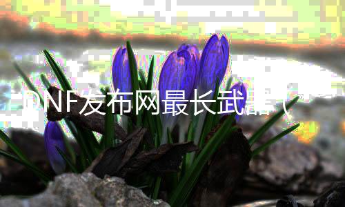 DNF发布网最长兵器（dnf兵器装扮最长的剑）