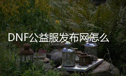 DNF公益服发布网怎么赚钱的（分享DNF公益服发布网赚钱的要领）