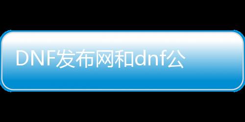 DNF发布网和dnf公益服发布网（相识私服和公益服发布网的区别）