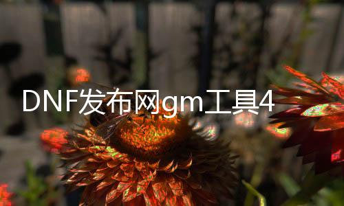 DNF发布网gm东西4.1（DNF发布网与勇士gm东西）