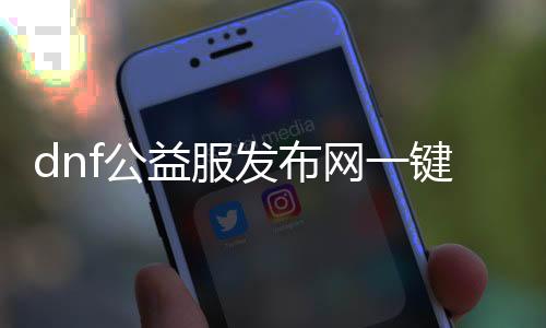 dnf公益服发布网一键解析机（dnf一键解析装备）