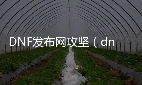 DNF发布网攻坚（dnf攻坚行列表）