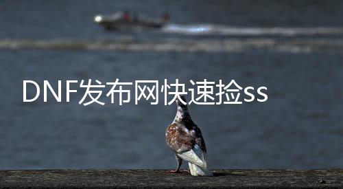 DNF发布网快速捡ss东西（dnf快速捡物怎么配置）