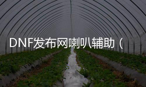 DNF发布网喇叭帮助（dnf处事器喇叭产出）