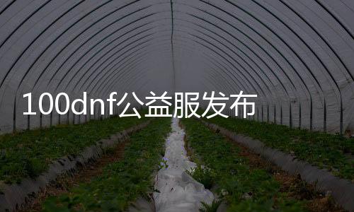 100dnf公益服发布网平台推荐,100dnf公益服发布网平台哪个好