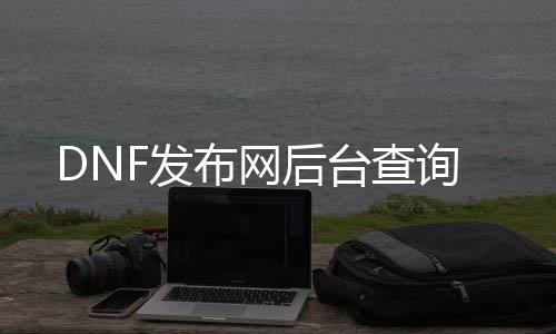 DNF发布网靠山查询