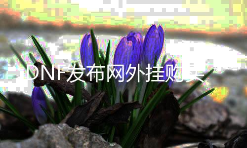 DNF发布网外挂购置