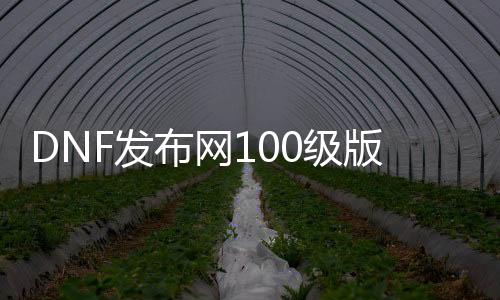 DNF发布网100级版本男邪术师（DNF发布网 男邪术师）