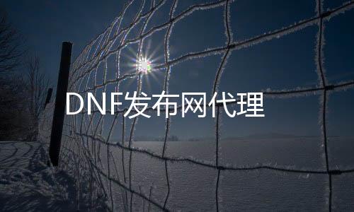 DNF发布网署理