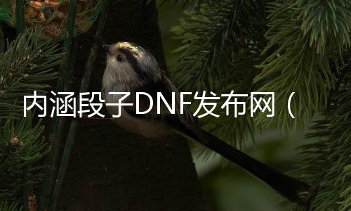 内在段子DNF发布网（内在段子系列）