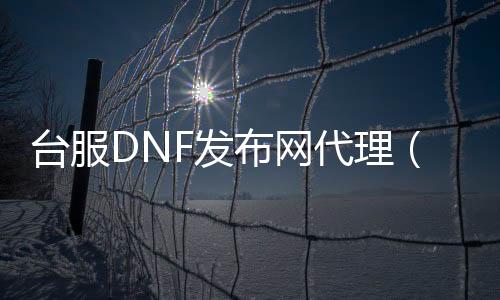 台服DNF发布网署理（dnf台服代码获取东西）