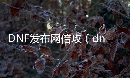 DNF发布网倍攻（dnf倍攻几多符合）