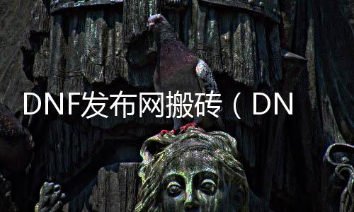 DNF发布网搬砖（DNF发布网与勇士搬砖东西）