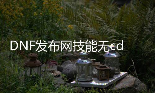 DNF发布网技术无cd 视频（dnf技术视频展示）