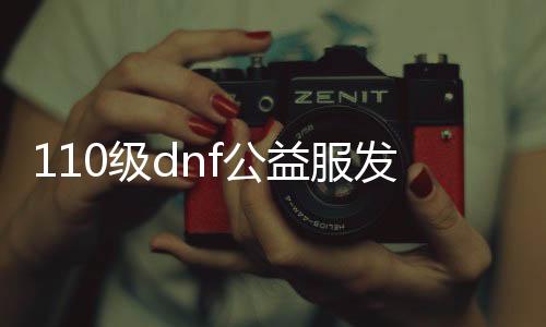 110级dnf公益服发布网怎么玩,110级dnf公益服发布网下载及玩法先容