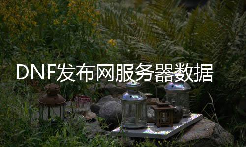 DNF发布网处事器数据在哪