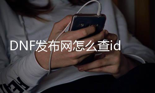 DNF发布网怎么查id（dnf账号查察）