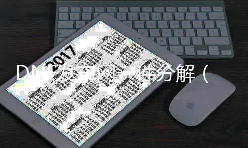 DNF发布网一件解析（DNF发布网解析装备好照旧卖好）