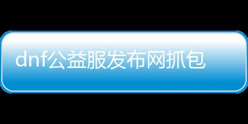 dnf公益服发布网抓包教程,如何利用抓包软件获取游戏数据