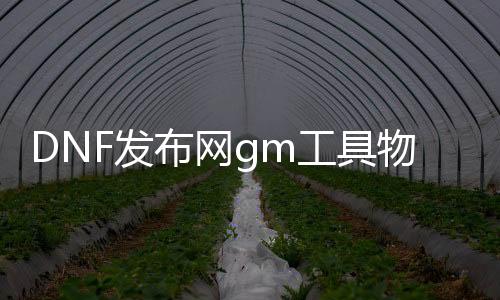 DNF发布网gm东西物品修改（DNF发布网装备修改器）