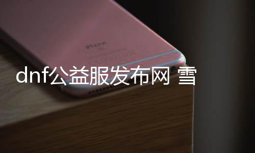 dnf公益服发布网 雪花（摸索dnf公益服发布网的雪花勾当）