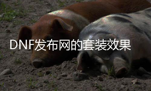 DNF发布网的套装结果