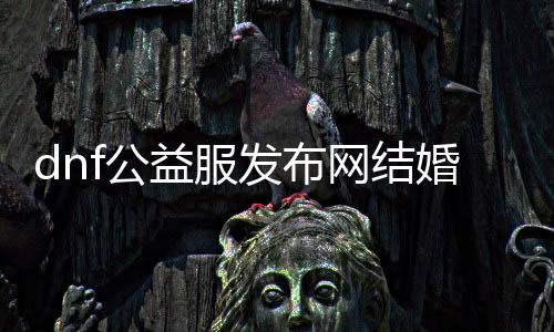 dnf公益服发布网成婚系统（dnf公益版）