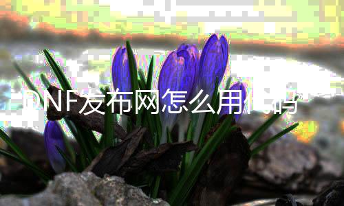 DNF发布网怎么用代码刷质料