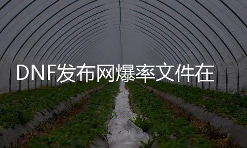 DNF发布网爆率文件在哪（dnf爆率是账号照旧脚色）