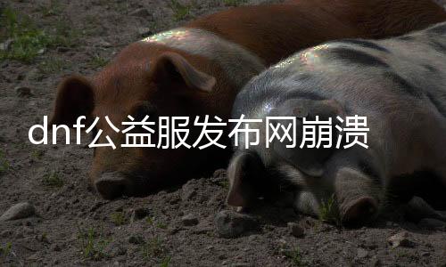dnf公益服发布网瓦解怎么办理（常见的办理要领）
