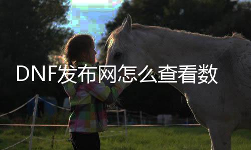 DNF发布网怎么查察数据库