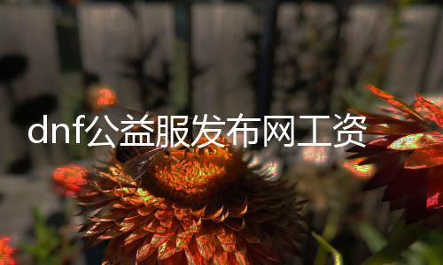 dnf公益服发布网人为怎么样（dnf公益服发布网开服时间）