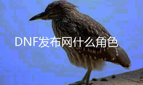 DNF发布网什么脚色
