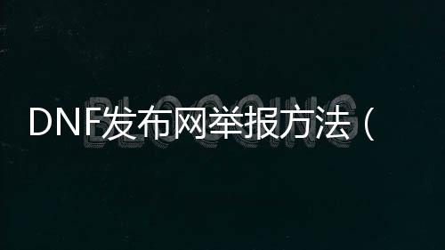 DNF发布网举报要领（DNF发布网游戏举报）