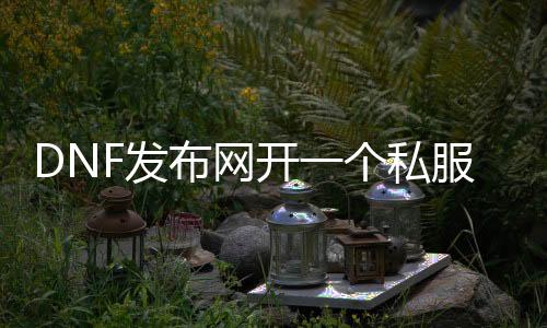 DNF发布网开一个私服要几多钱