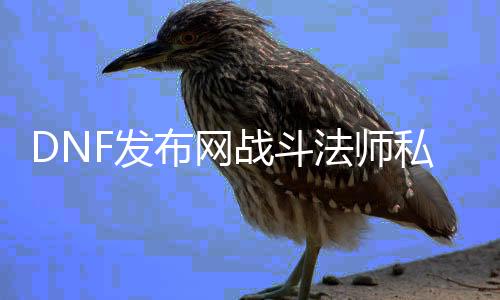 DNF发布网战斗法师私服（DNF发布网战斗法师花钱吗）