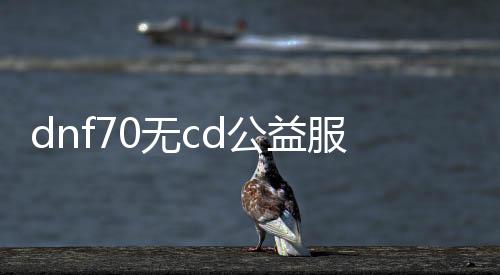 dnf70无cd公益服发布网怎么玩,无cd公益服发布网具体先容