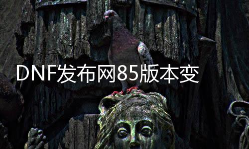 DNF发布网85版本失常私服