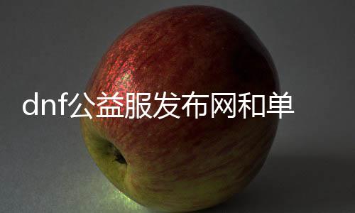 dnf公益服发布网和单机版有什么区别，如何选择适合本身的游戏版本