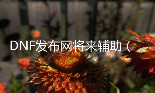 DNF发布网未来帮助（dnf帮助软件网站）