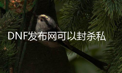 DNF发布网可以封杀私服吗（DNF发布网封号可以弛刑吗）