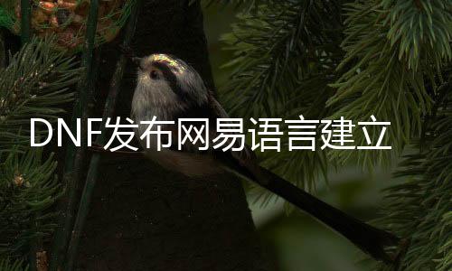 DNF发布网易语言成立脚色（易语言写dnf帮助教程）